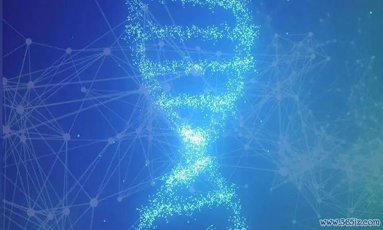 如何在imToken官网中高效完成个人资产审计，保障您资金的安全性与合规性。_审计资源_高质量的审计